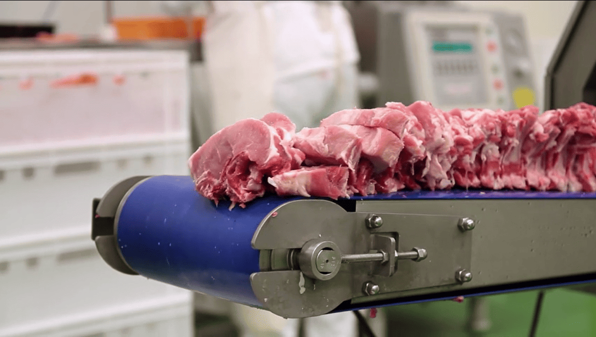 cost components of modular belt maintenance in meat processing