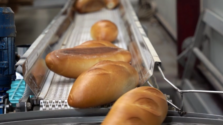 Hot Baked Bread on a Bread Factory Conveyor Belt