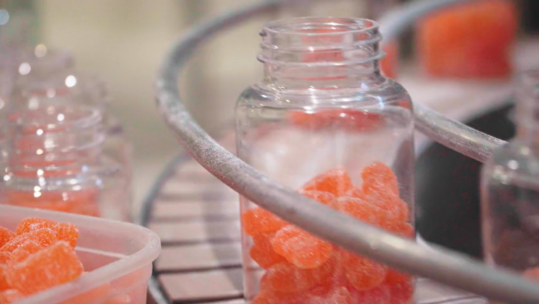 The Advantages and Selection Essentials of Plastic Chainplates in Food Conveyor Systems