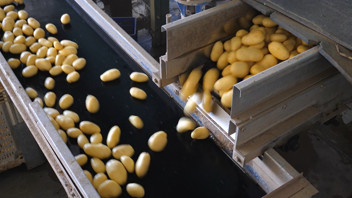 Belt Conveyor Operating Parameters belt conveyor operating parameters