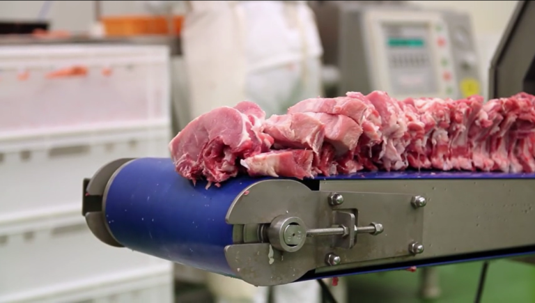 Fresh Meat Belt Conveyor Line