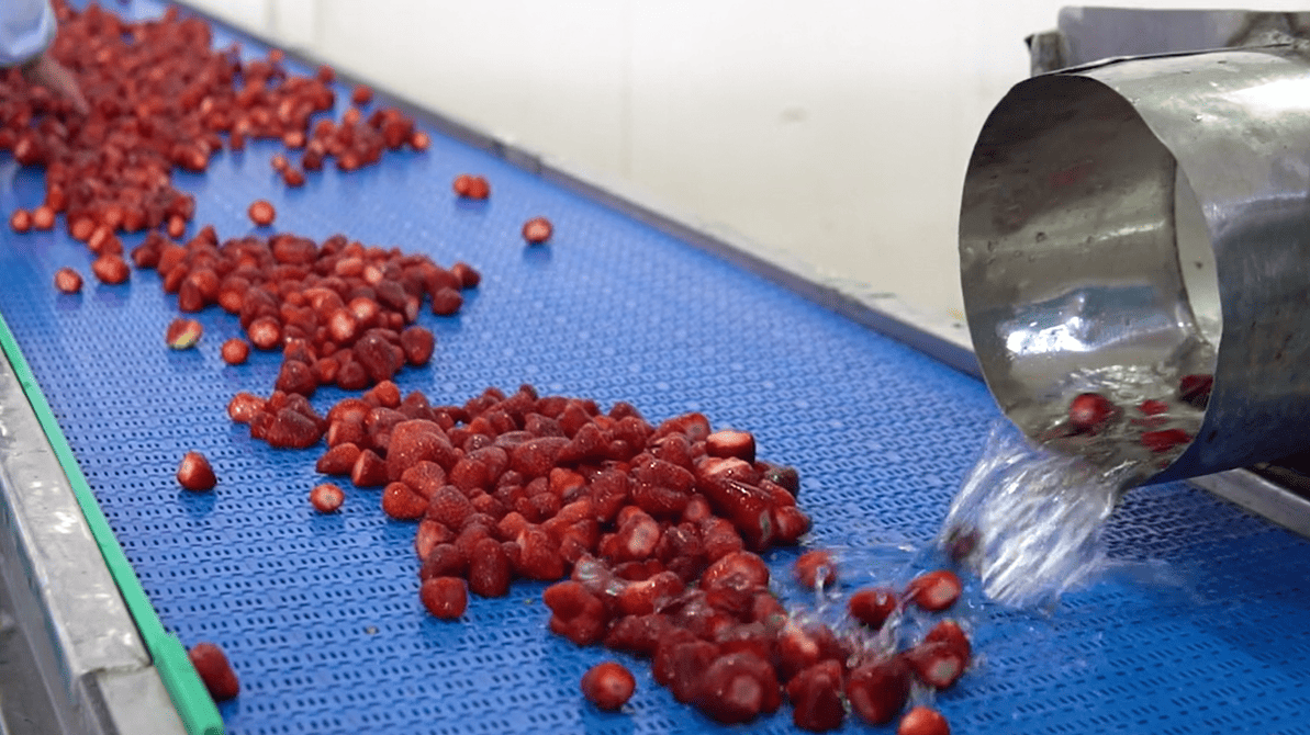 Hygienic conveyor system used in food and beverage production