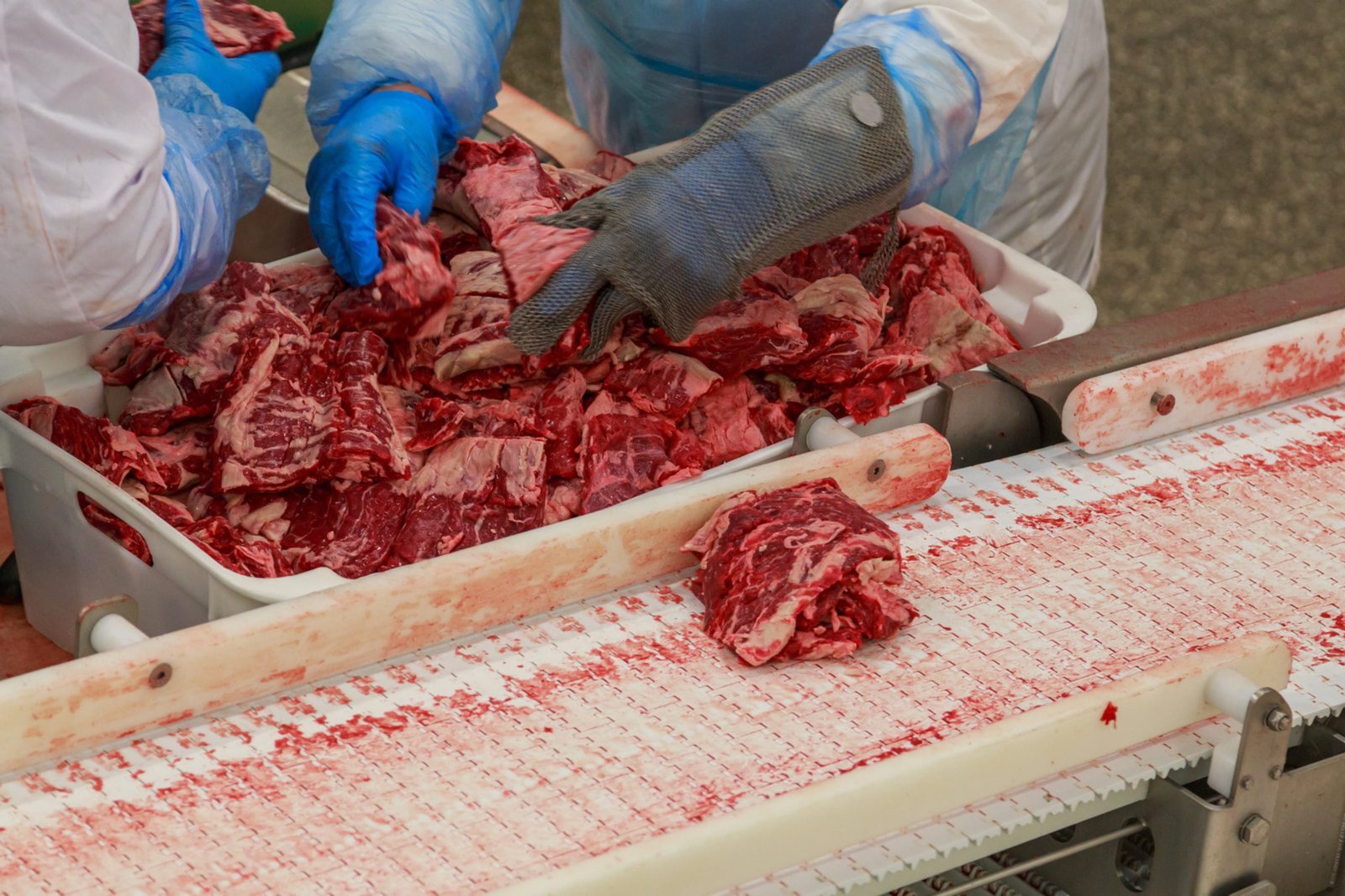 conveyor belt hygiene and drainage requirements in food processing