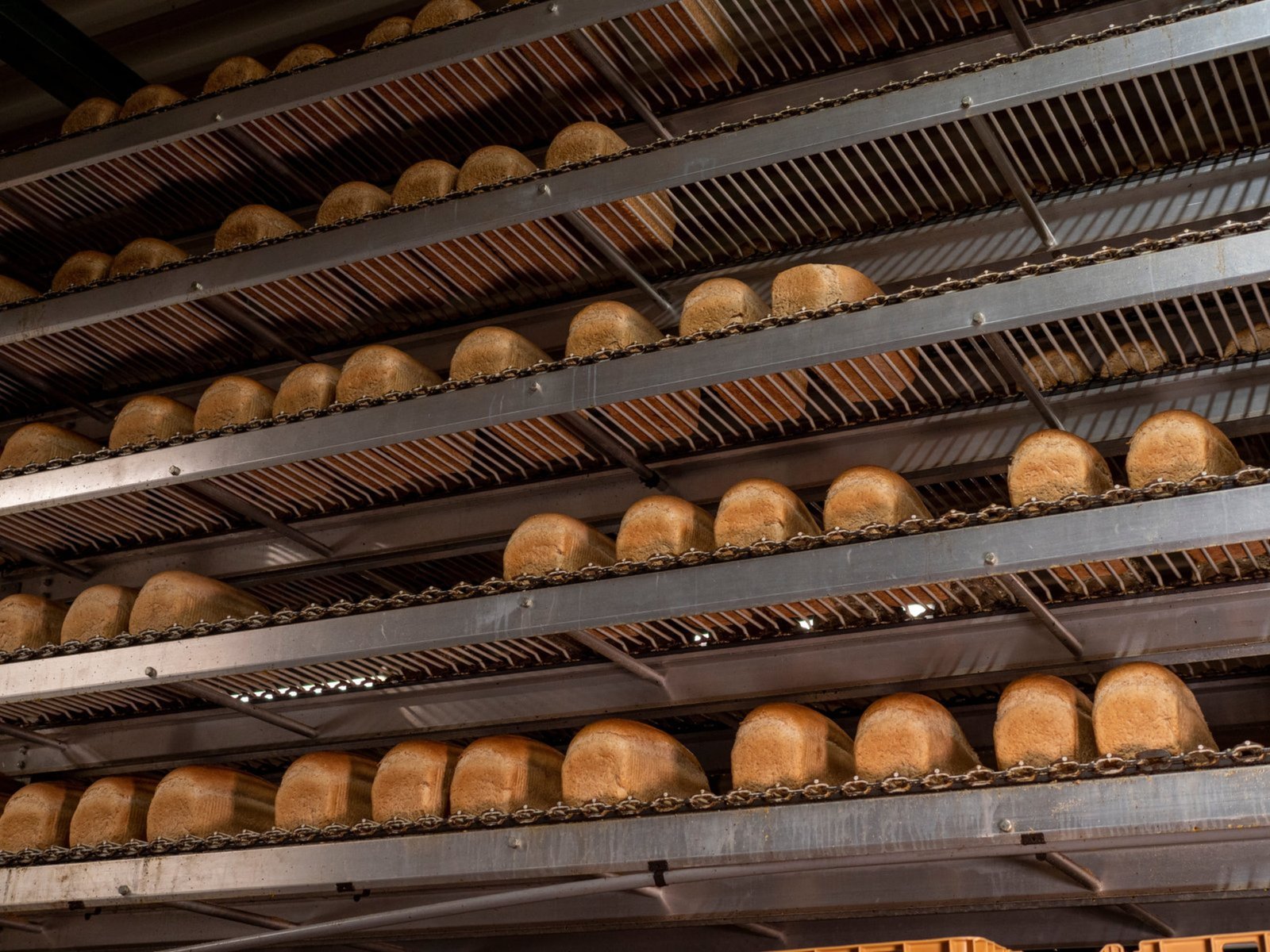 Key Factors in Conveyor Belt Selection Decision conveyor belt selection decision factors temperature hygiene airflow
