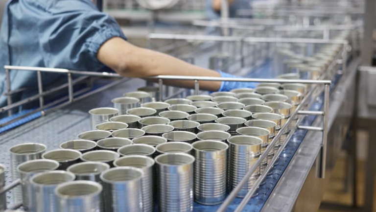 Workers Organizing Cans in a Canning Factory