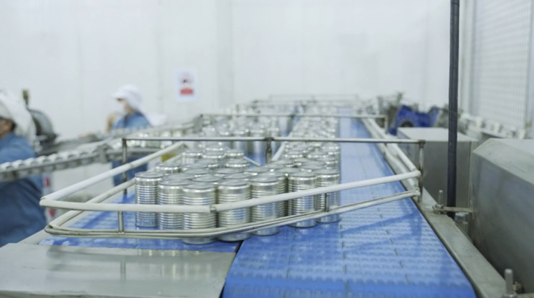 High-Speed Conveyor Line in a Canning Factory