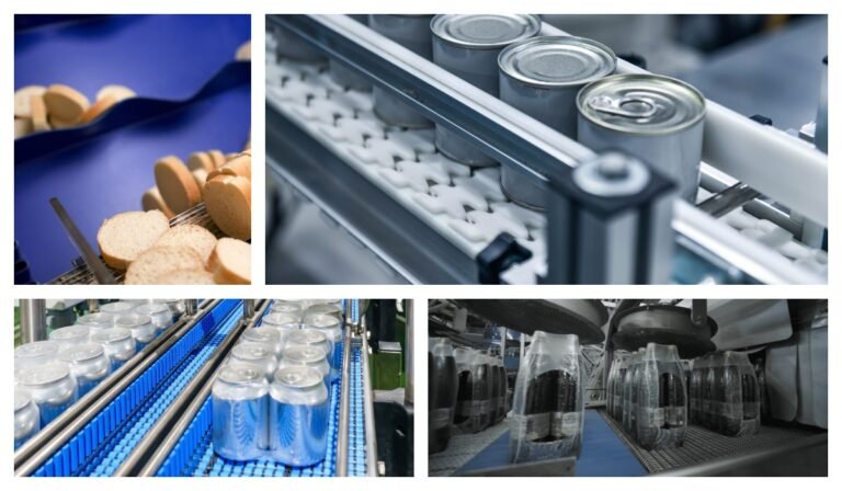 What are the different types of conveyor systems?
