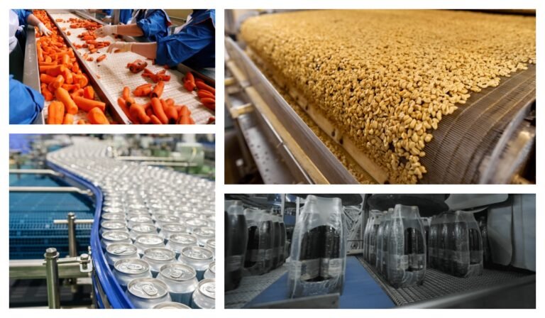 Plastic Modular Belting Solutions for Food & Beverage Industry