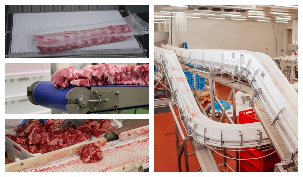 modular belt upgrade in meat processing plant conveyor system